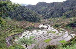 On The Way To Batad