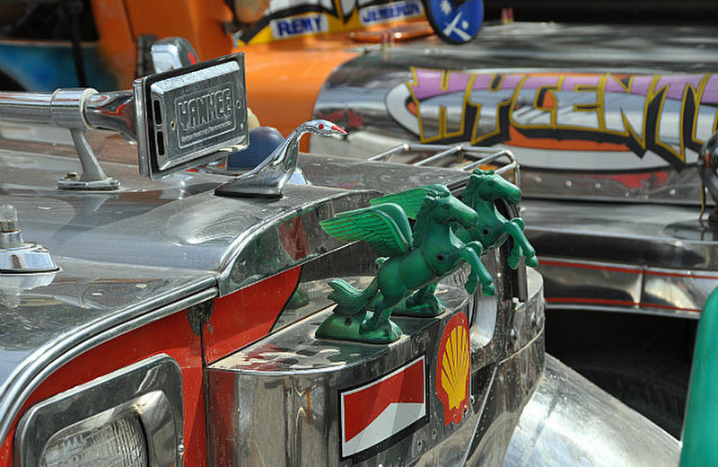 Loved The Plastic Hood Ornaments