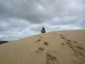 Dune Queen Of All She Surveys