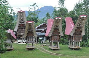 Torajan Village