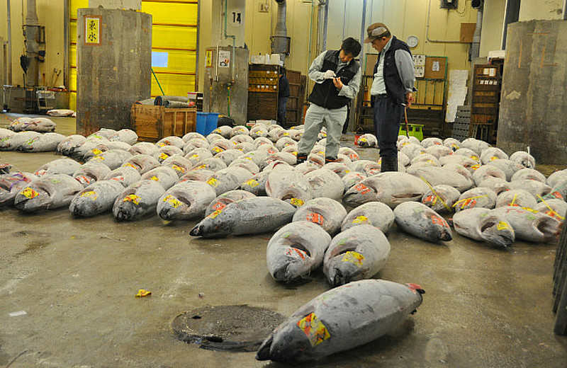 That&#39;s A Lot Of Tuna