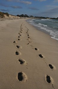 Our Footprints In The Sand