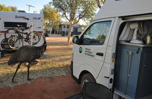 Emu And Our Nameless Van
