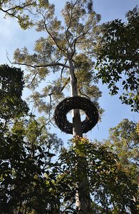 More Sculpture In The Forest