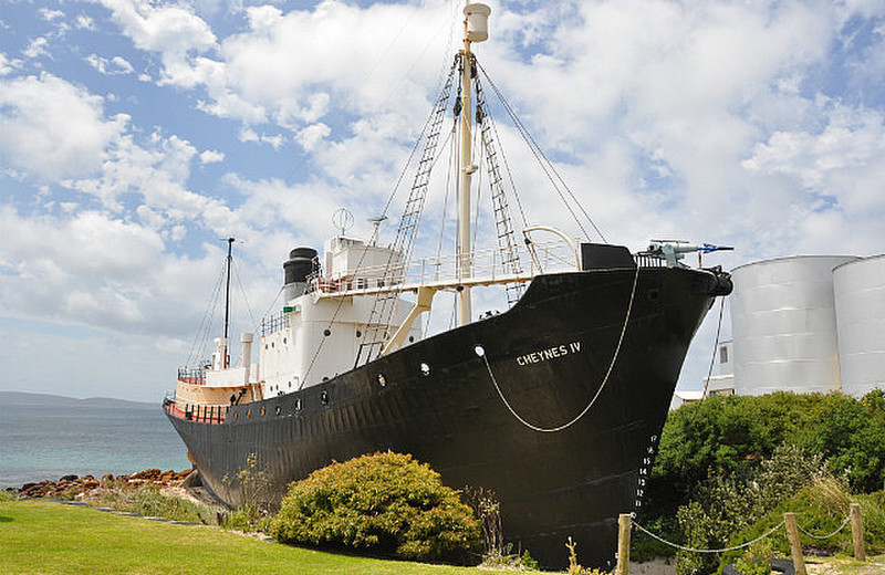 Last Aussie Whaling Ship