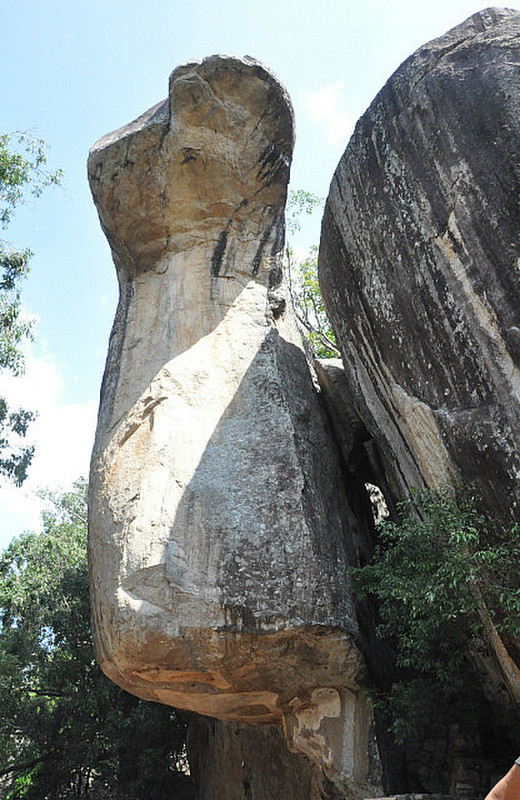 Cobra Head Rock Formation