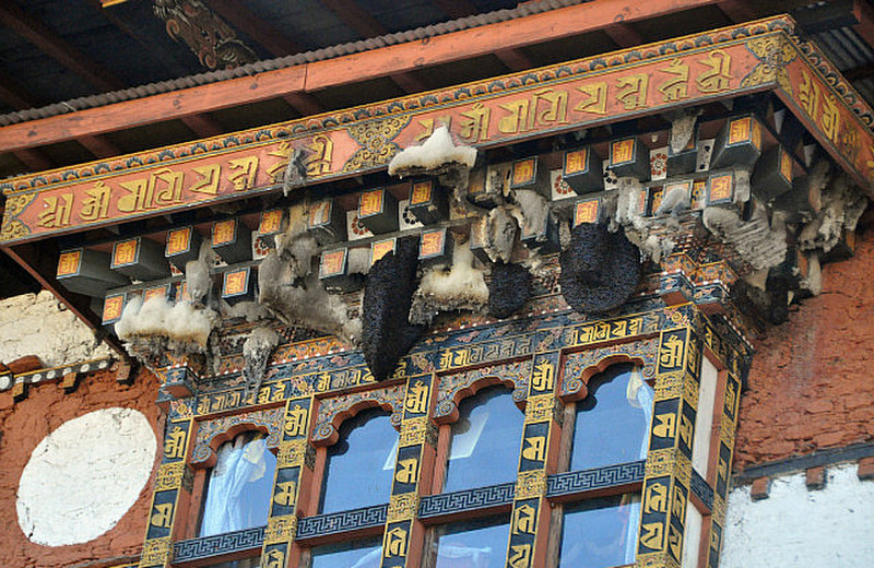 Bee Hives On The Dzong