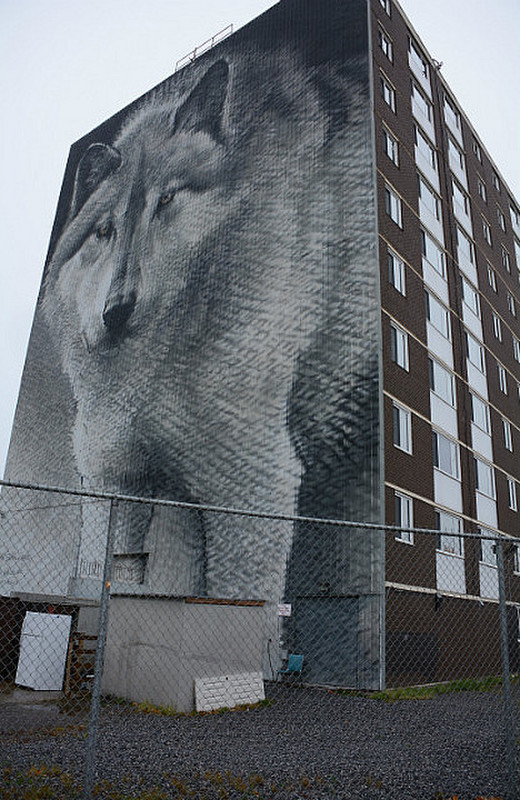 Biggest Wolf Mural?