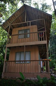 Our Jungle Lodge