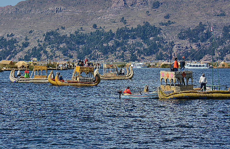 Fleet Of Reed Boats