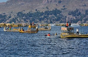 Fleet Of Reed Boats