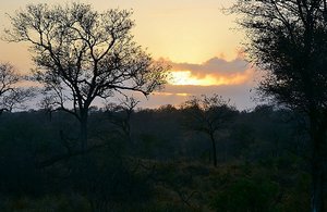 Kruger Sunset