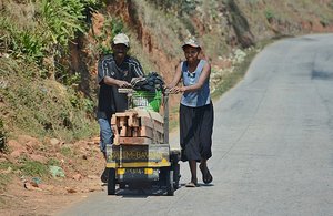 Madagascar Cart