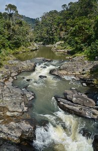 Madagascar Creek