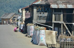 Madagascar Charcoal Bags