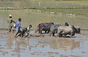 Plowing 