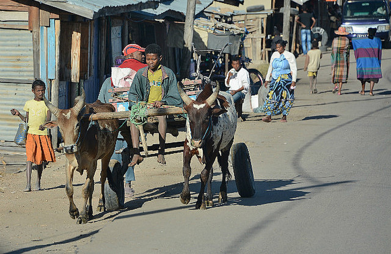 Madagascar Traffic