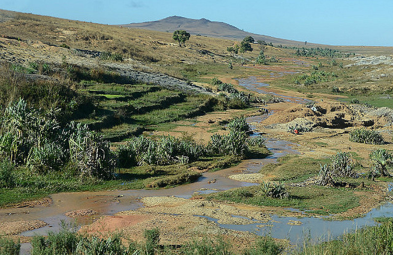 Madagascar Vista