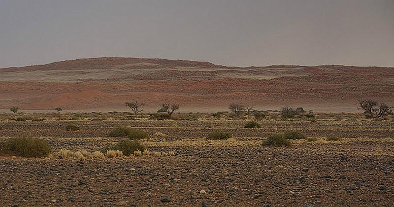 Namibian Landscape