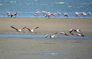 Namibia