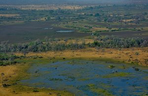 Okavango Delta  