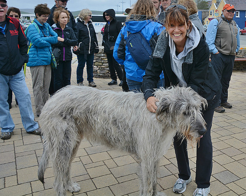 DH With Irish Wolfhound- Biggest Dog In The World