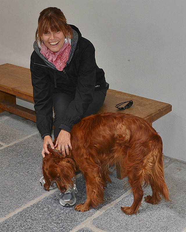 Red Irish Setter Completes Our Canine Checklist