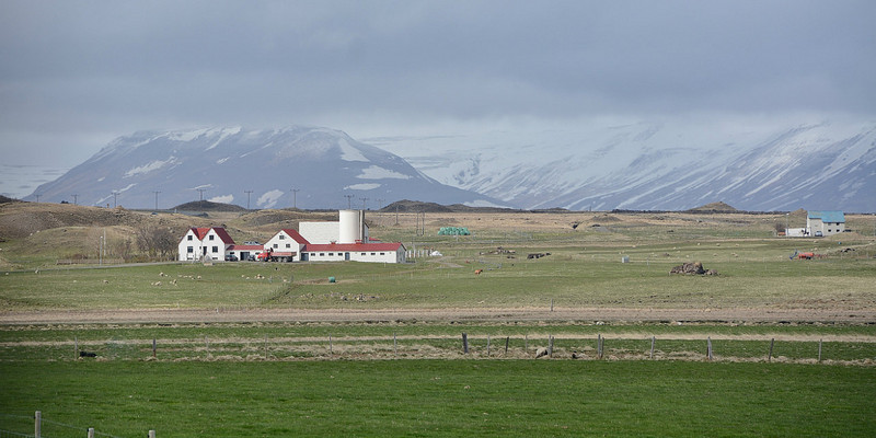 The Road To Reykjavik