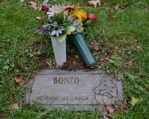 Bedtime For Bonzo Grave