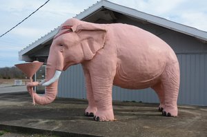 Pink Elephant With A Martini