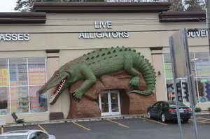 Gator Store