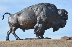 Buffalo Memorial In Oklahoma