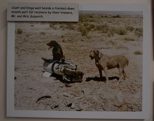 Missile Dogs Find Stray Pieces