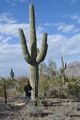 DH And Her Saguaro Cactus