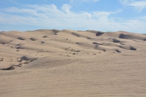 Algodonas Dunes