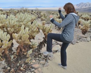 Fighting Back Against The &#39;Jumping&#39; Cactus