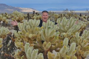 Swallowed By The Chollas  