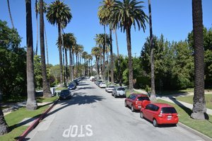 Beverly Hills Neighbourhood