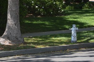 Fire Hydrants Are Painted Silver