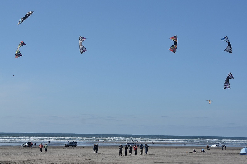 Synchronized Kite Flyers