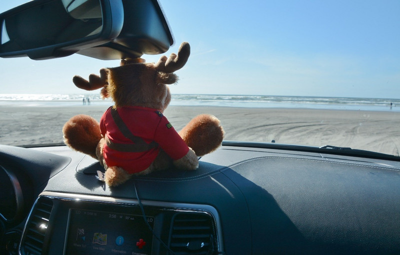 Mickey Moose Goes To The Beach