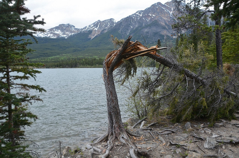 Pyramid Lake Near Jasper