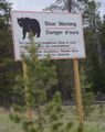 Bear Warnings Everywhere