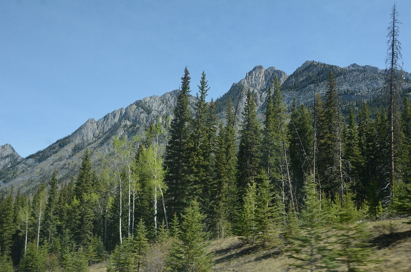Banff Area