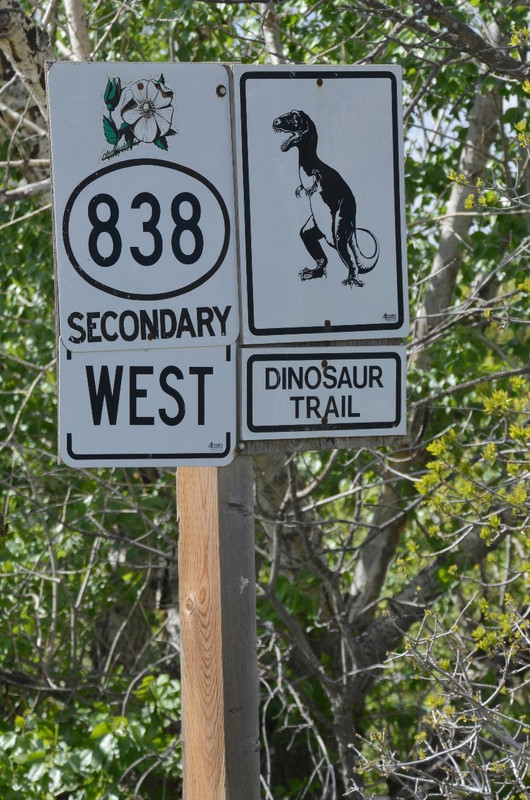 Dinosaur Trail