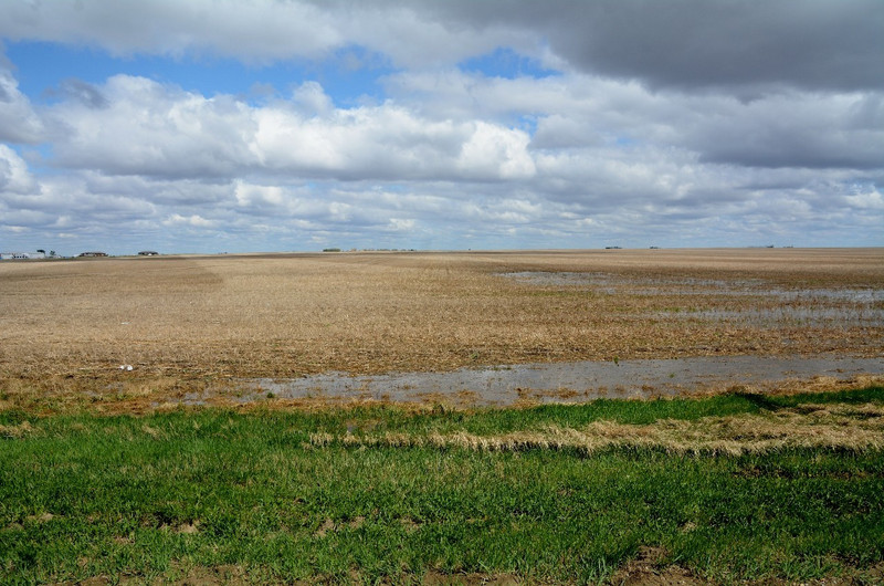 Saskatchewan Flat