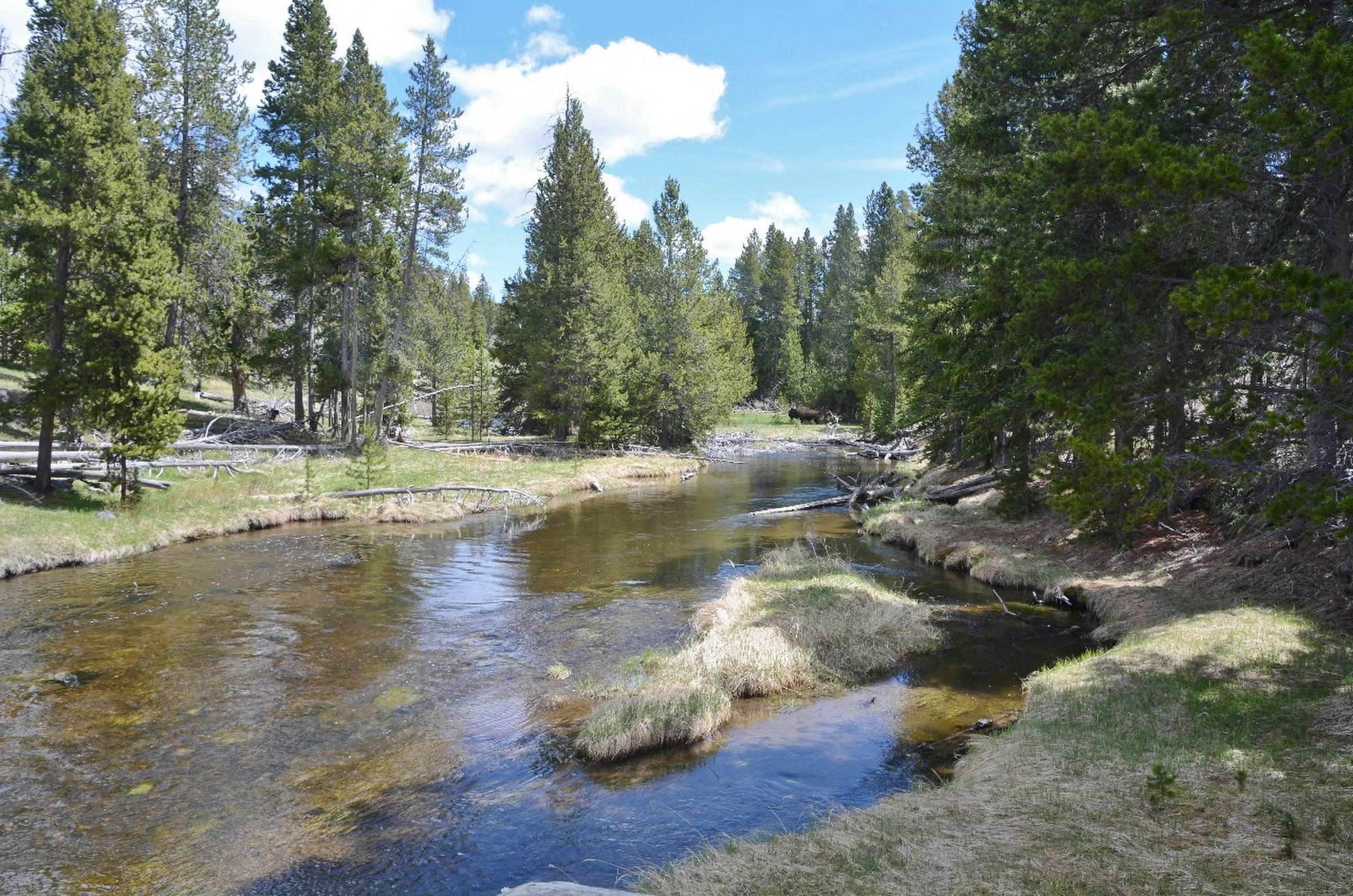 Yellowstone 