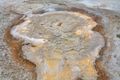 Yellowstone Thermal Features