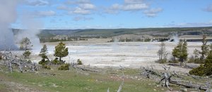 Yellowstone Thermal Fields