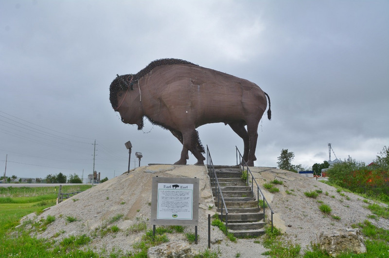 Earl The Bison Weighs 9 Tons